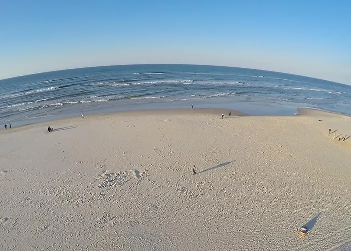 Sara ホームステイ カルビア